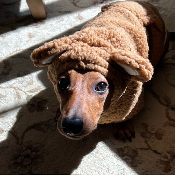 Meet your Posher, Kristin - Picture 10 of 11